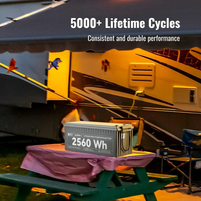 Green Vista Living Rich Solar ALPHA 4 | 24V 100Ah LiFePO4 Battery | Powerful 12V... Power Station - Installation View