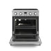 Thor Kitchen 30" Contemporary Professional Propane Gas Range, ARG30LP Thor Kitchen