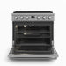 Thor Kitchen 36" Contemporary Professional Propane Gas Range, ARG36LP Thor Kitchen
