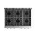Thor Kitchen 36-Inch Gas Range with 6 Burners, 6.0 cu. ft. Convection Oven in Stainless Steel (ARG36) Thor Kitchen