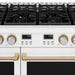 Thor Kitchen 48-Inch White and Bronze Gas Range (ARG48W-BRZ) – close-up control panel