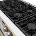 Thor Kitchen 48-Inch White and Bronze Gas Range (ARG48W-BRZ) – close-up cooktop