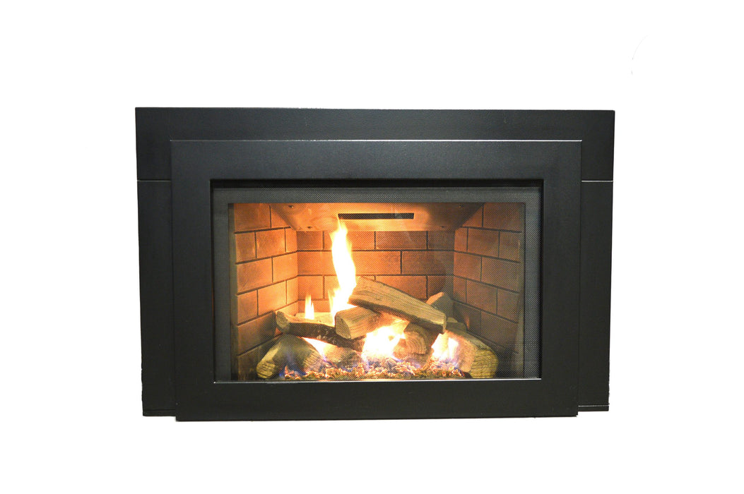 30" Fireplace ABBOT-30PG-DELUXE-LP - front view