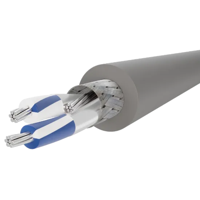 24/1PR 7XTC OAS/BRD LOCAP CM/AWM 2919 Chrome Gray