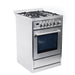 Cosmo 24-Inch 2.73 Cu. Ft. Single Oven Gas Range with 4 Burner Cooktop in Stainless Steel (COS-244AGC) Cosmo