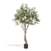 Faux Olive Tree with Weighted Black Pot, 78" D-014-3-521-16H - front view