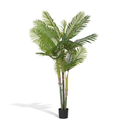 Park Hill Collection Faux Palm with Weighted Black Pot, 82"