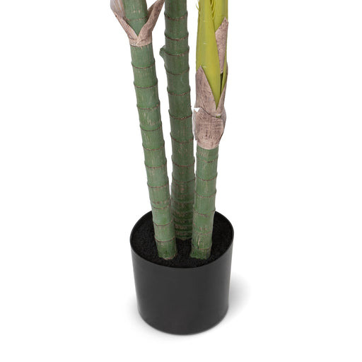 Park Hill Collection Faux Palm with Weighted Black Pot, 82" (view 2)