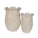 Park Hill Collection Sanibel Whitewash Baskets, Set of 2