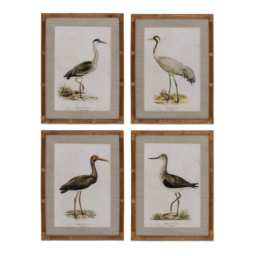 Park Hill Collection Wading Bird Prints, Set of 4