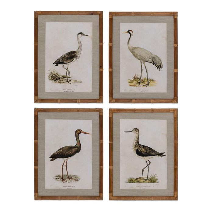 Park Hill Collection Wading Bird Prints, Set of 4