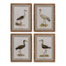 Park Hill Collection Wading Bird Prints, Set of 4