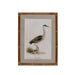 Park Hill Collection Wading Bird Prints, Set of 4 (view 2)