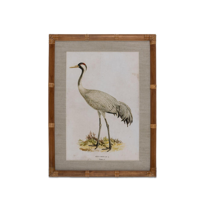 Park Hill Collection Wading Bird Prints, Set of 4 (view 3)