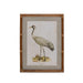 Park Hill Collection Wading Bird Prints, Set of 4 (view 3)