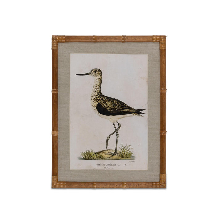 Park Hill Collection Wading Bird Prints, Set of 4 (view 4)