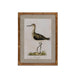 Park Hill Collection Wading Bird Prints, Set of 4 (view 4)