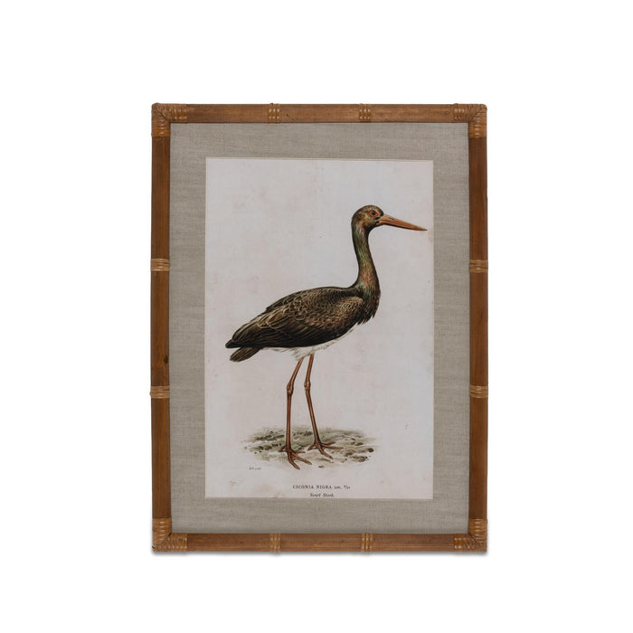 Park Hill Collection Wading Bird Prints, Set of 4 (view 5)