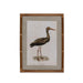 Park Hill Collection Wading Bird Prints, Set of 4 (view 5)