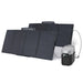 Green Vista Living EcoFlow DELTA 2 + 160W Solar Panel - Side View