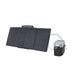 Green Vista Living EcoFlow DELTA 2 + 160W Solar Panel