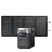 Green Vista Living EcoFlow DELTA 2 + 220W Solar Panel