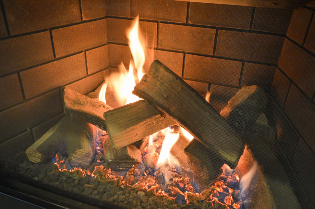 30" Fireplace ABBOT-30PG-DELUXE-LP - back view