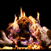 Empire Birch log set burning in a Rainier Premium insert