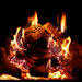 Empire Traditional log set burning in a Rainier Premium insert