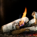 Empire Birch log set for the McKinley 60 linear fireplace