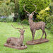 Cast Iron Estate Stags, Set of 2 EAG80265B - front view