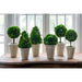 Park Hill Collection Garden Floral Collection of Boxwood Topiaries, Set of 6, Assorted Sizes EBD80076 Park Hill Collection