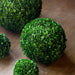 Park Hill Collection Preserved Boxwood Ball, 16"