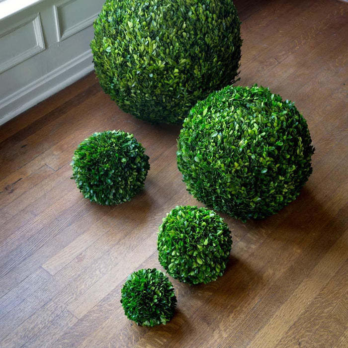 Park Hill Collection Preserved Boxwood Ball, 16" (view 2)