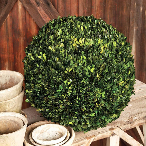 Preserved Boxwood Ball, 21" EBD80086 - front view