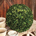 Preserved Boxwood Ball, 21" EBD80086 - front view