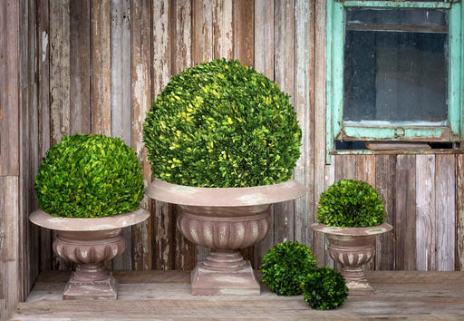 Preserved Boxwood Ball, 21" EBD80086 - angle view