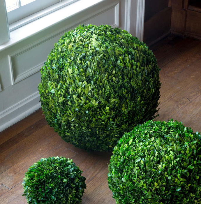 Preserved Boxwood Ball, 21" EBD80086 - side view