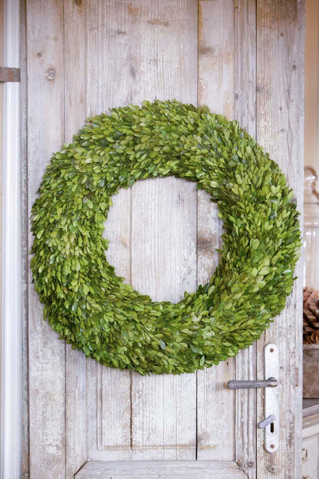 Park Hill Collection Preserved Boxwood Wreath, Large (view 3)