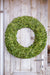Park Hill Collection Preserved Boxwood Wreath, Large (view 3)