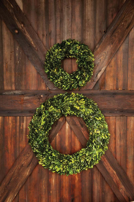 Park Hill Collection Preserved Boxwood Wreath, Large (view 4)