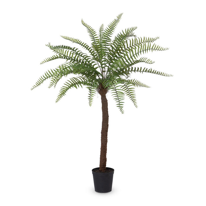Park Hill Collection Garden Floral Giant Tree Fern in Growers Pot, 83" EBQ26091 Park Hill Collection