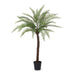 Park Hill Collection Garden Floral Giant Tree Fern in Growers Pot, 83" EBQ26091 Park Hill Collection