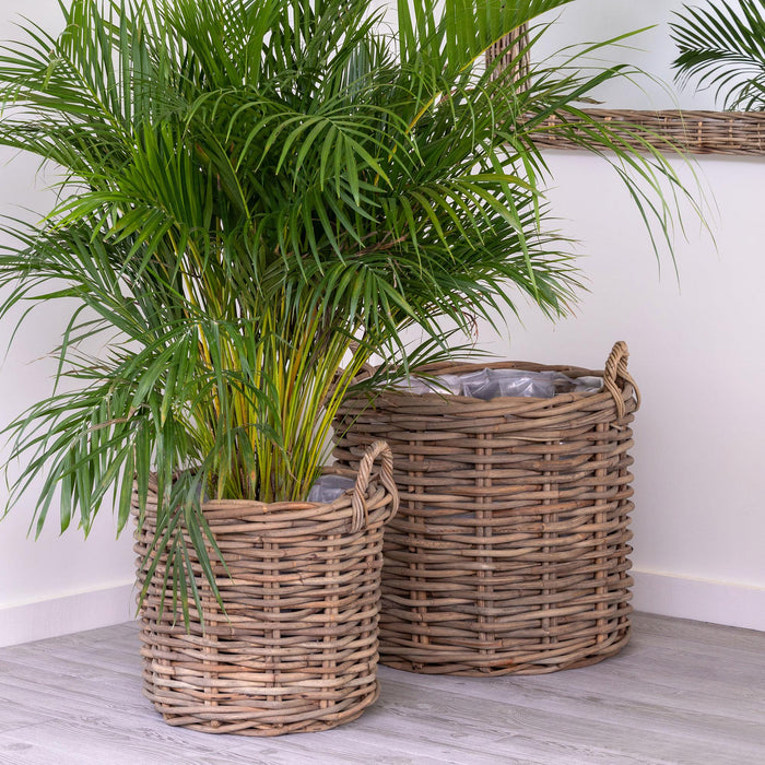 Park Hill Collection Handwoven Rattan Floor Basket (view 4)