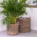 Park Hill Collection Handwoven Rattan Floor Basket (view 4)