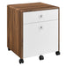 Modway Transmit Wood File Cabinet Storage Shelf in White