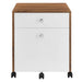 Modway Transmit Wood File Cabinet Storage Shelf - Lifestyle View