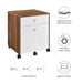 Modway Transmit Wood File Cabinet Storage Shelf in White - Side View
