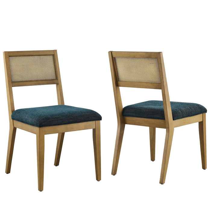 Nimba  Rattan Fabric Dining Chairs Set of 2