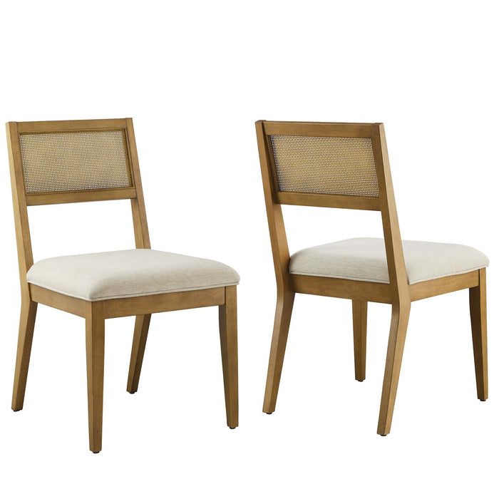 Nimba  Rattan Fabric Dining Chairs Set of 2
